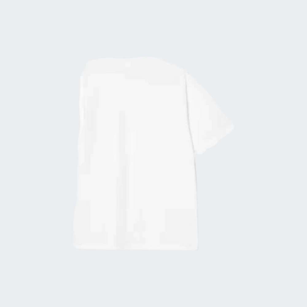 TSHIRT CARHARTT WIP UNIVERSITY SCRIPT