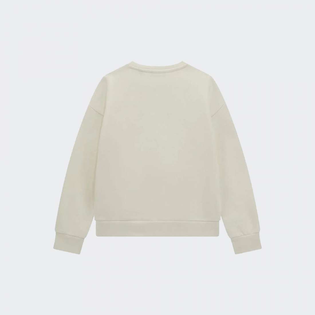 SWEATSHIRT GUESS ACTIVE TOP G012