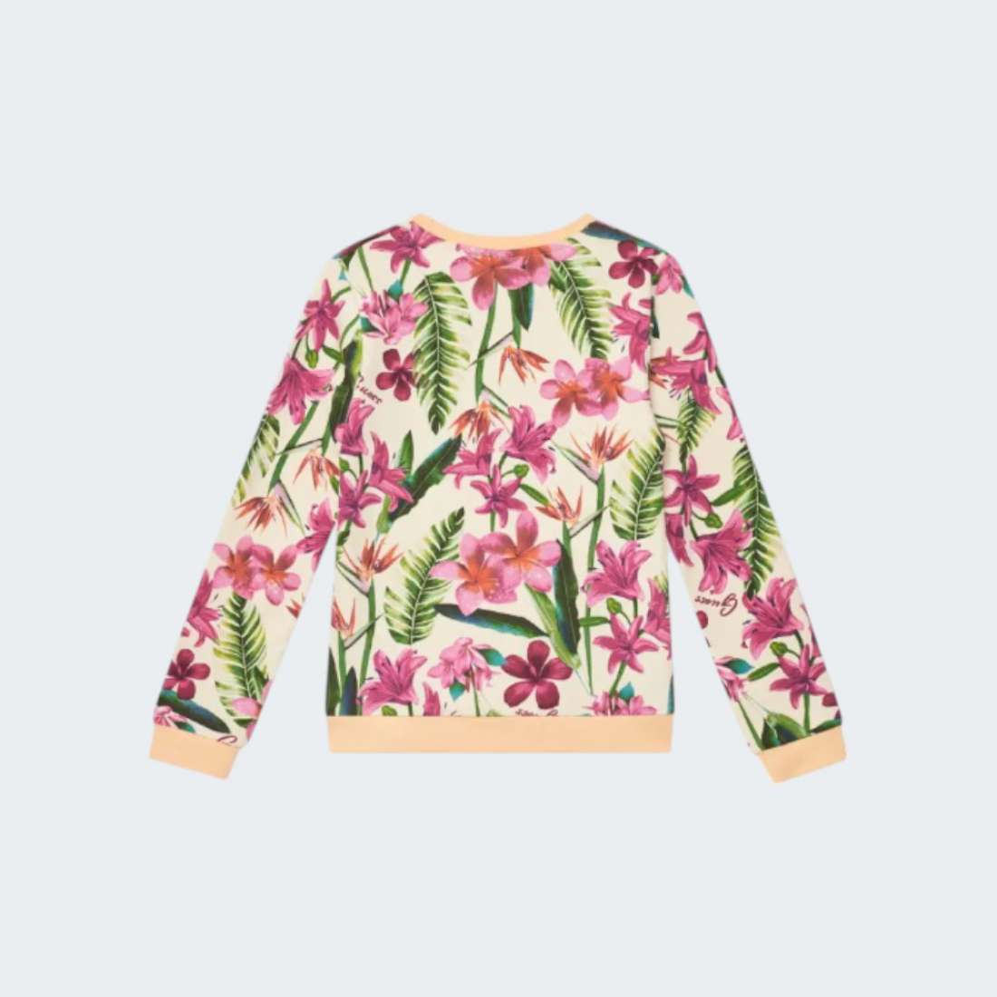 SWEATSHIRT GUESS ACTIVE P49Z