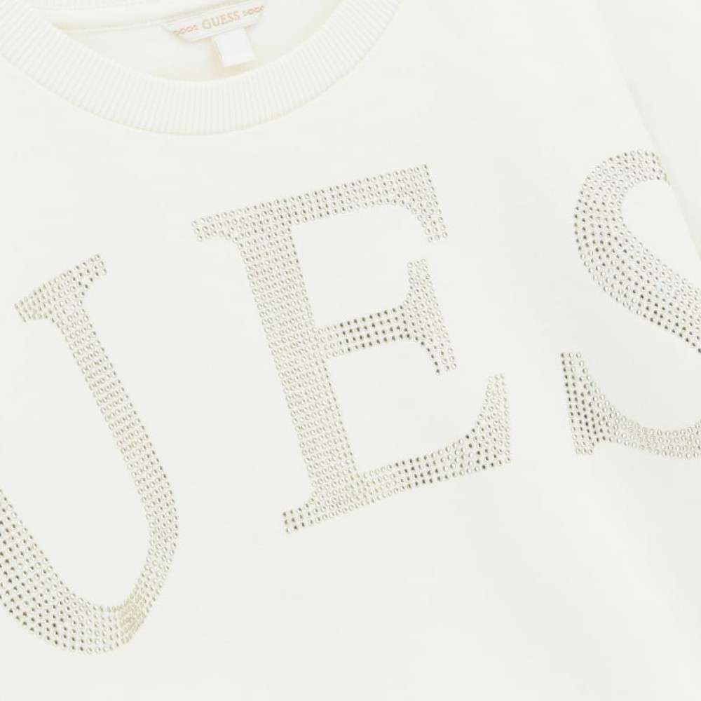 SWEATSHIRT GUESS LS ACTIVE
