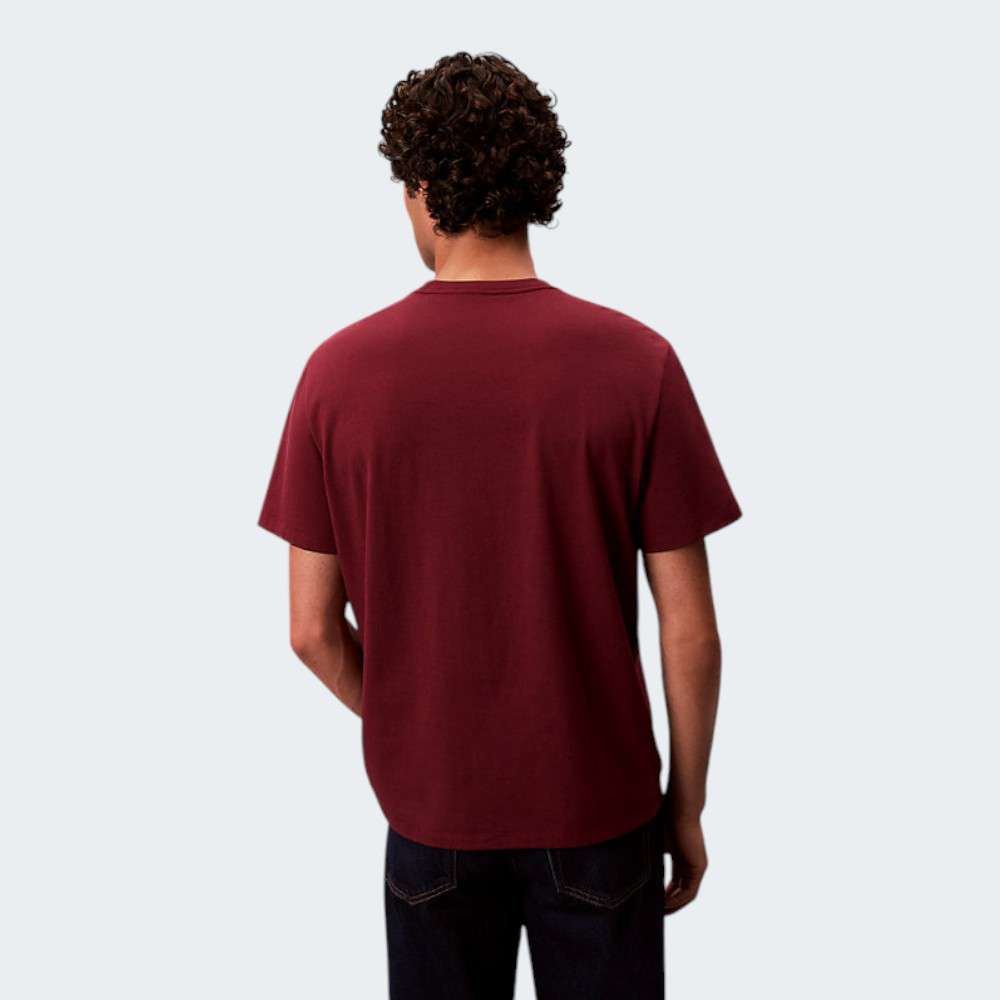 TSHIRT CALVIN KLEIN MONOLOGO TSHIRT CALVIN KLEIN MONOLOGO