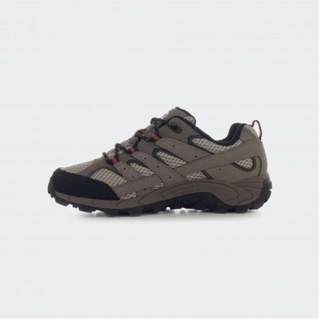 MERRELL MOAB 2 LOW LACE BARK BROWN