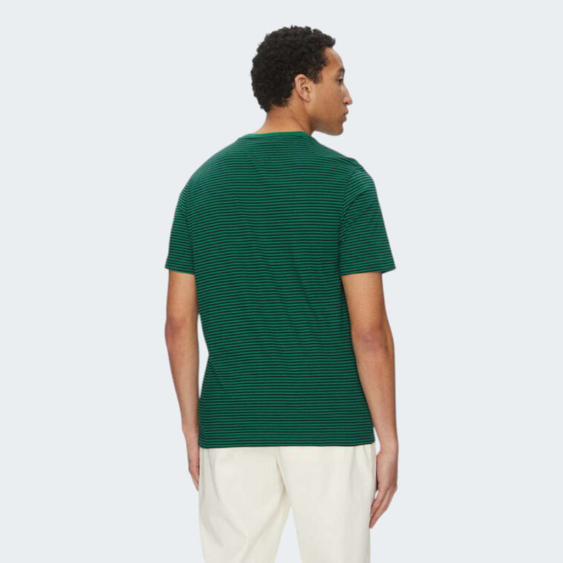 TSHIRT TOMMY HILFIGER  SEASONAL