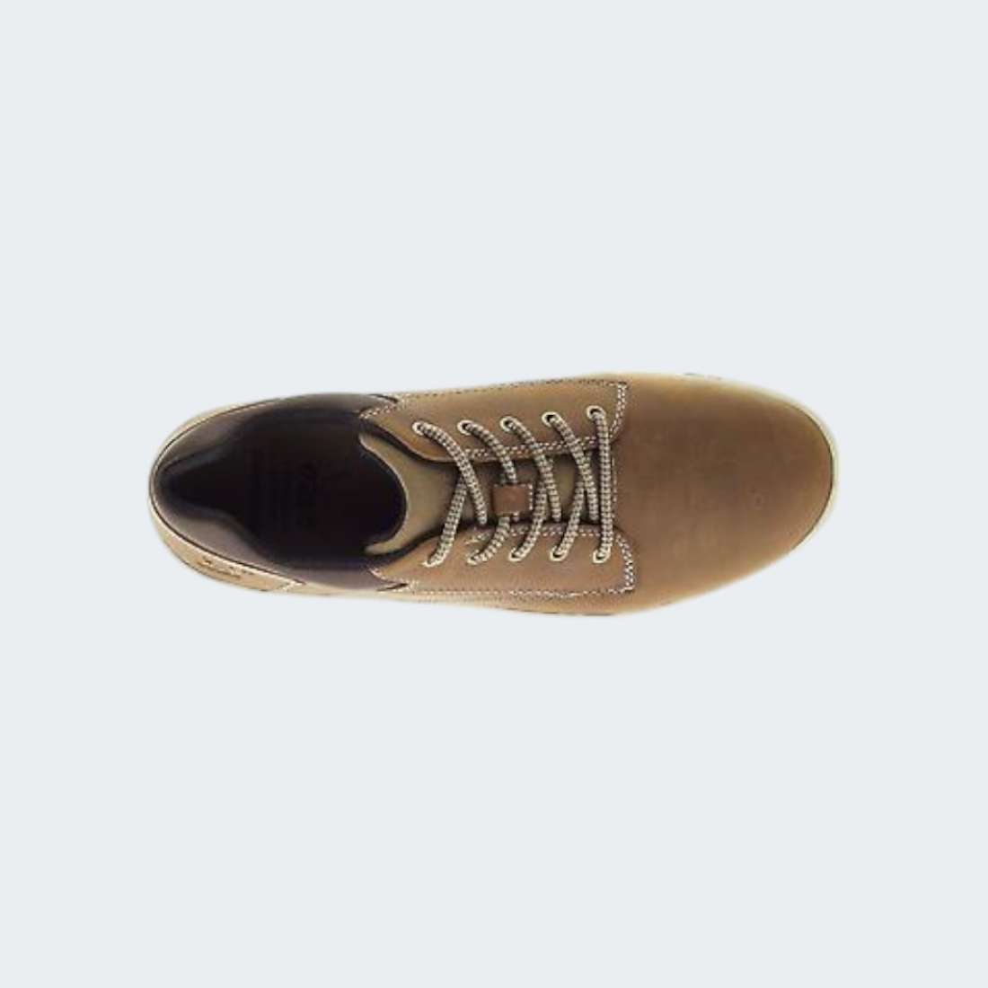 CAT COLFAX DARK BEIGE