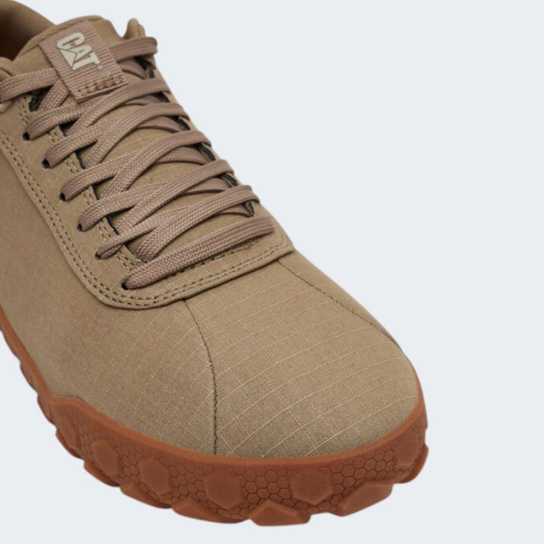 CAT HEX CANVAS ELMWOOD