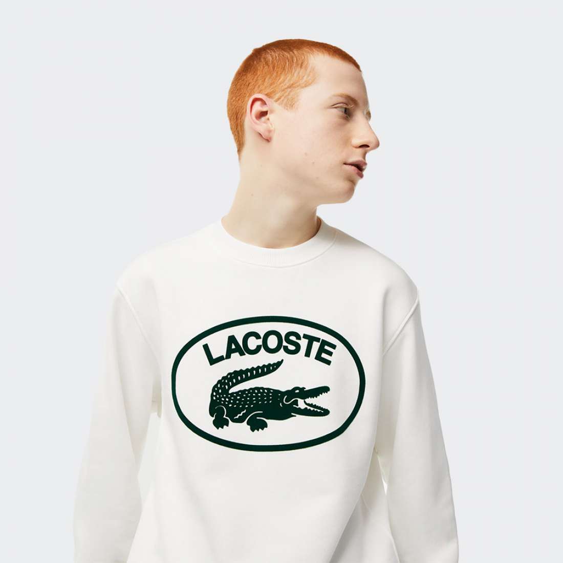 SWEATSHIRT LACOSTE SH0254 FLOUR/GREEN