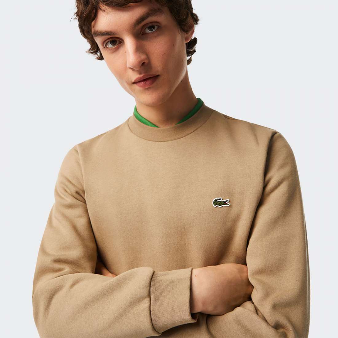 SWEATSHIRT LACOSTE SH9608 LION