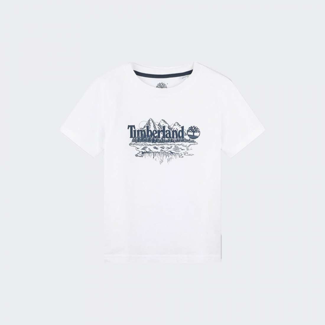 TSHIRT TIMBERLAND T60139 C WHITE