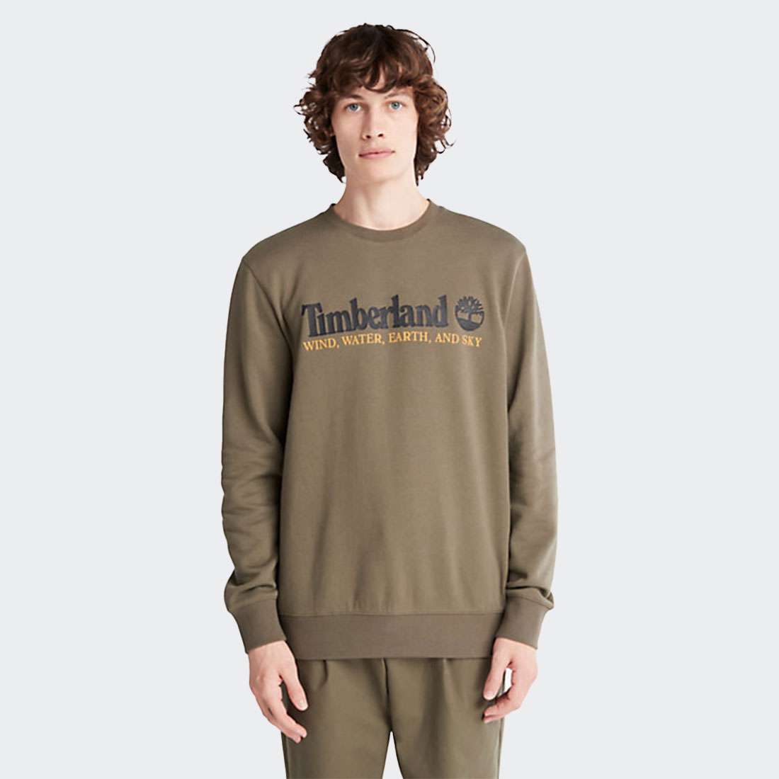 SWEATSHIRT TIMBERLAND WIND, WATER, EARTH AND SKY GRAPE LEAF