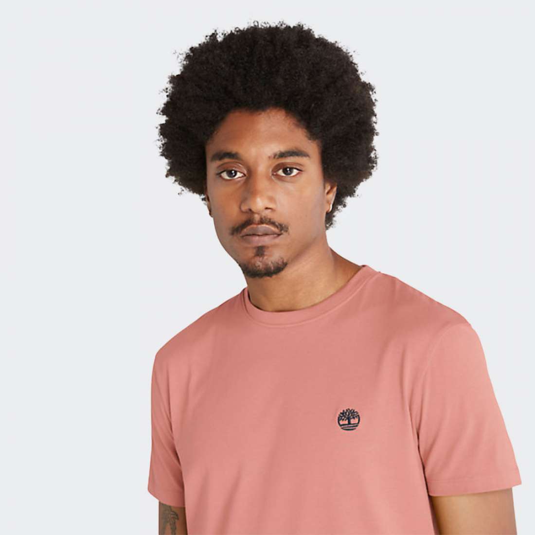 TSHIRT TIMBERLAND DUN RIVER LIGHT MAHOGANY