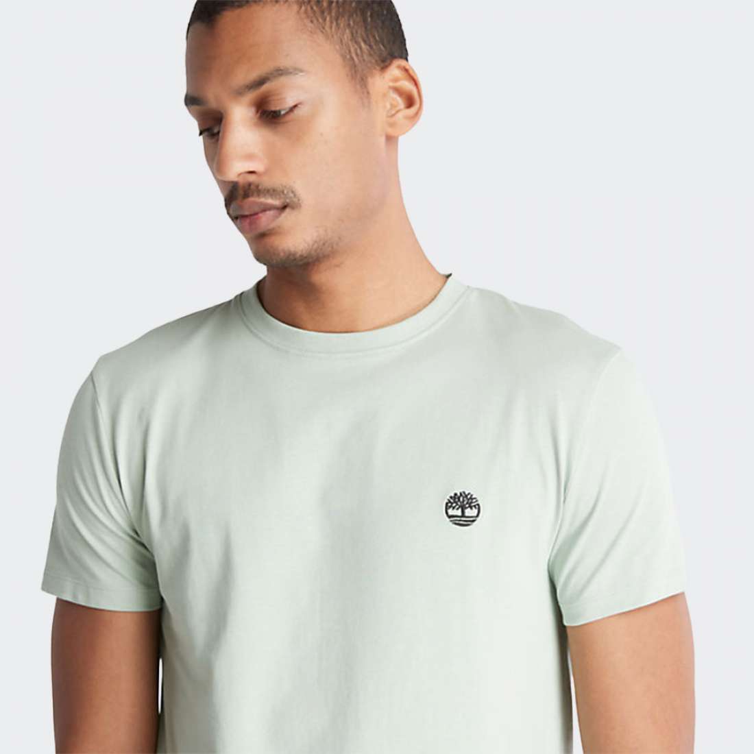 TSHIRT TIMBERLAND DUN RIVER FROSTY GREEN