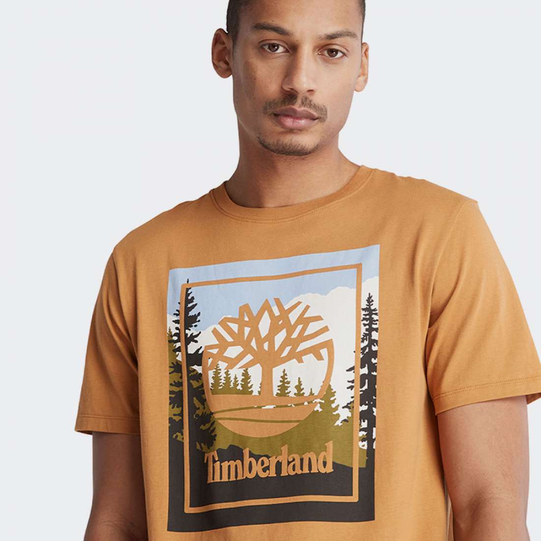 TSHIRT TIMBERLAND OUTDOOR GRAPHIC WHEAT BOOT