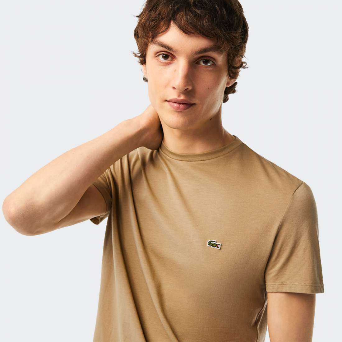 TSHIRT LACOSTE SPORT LION