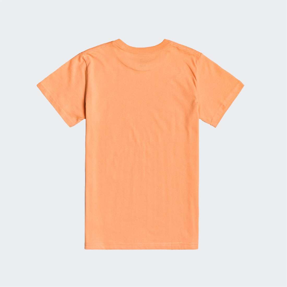 T-SHIRT BILLABONG INVERSED C DUSTY ORANGE