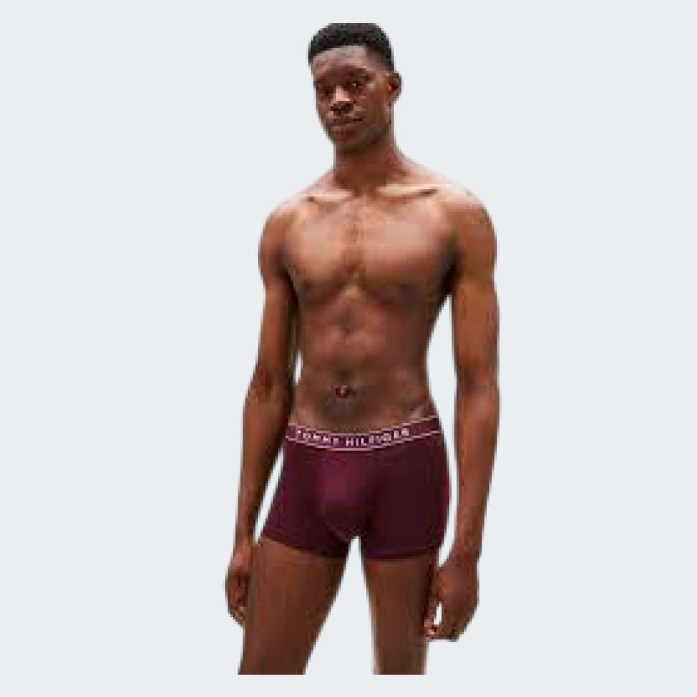 PACK 3 BOXERS TOMMY HILFIGER TRUNK