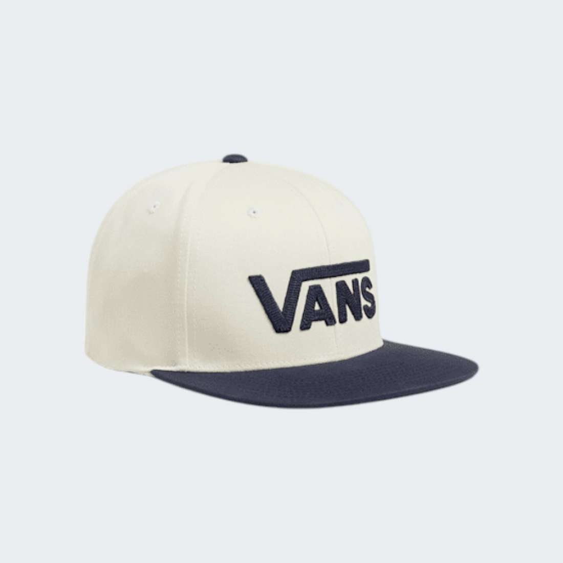 BONE VANS DROP V