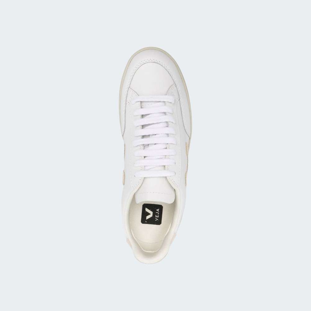 VEJA V12