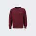 SWEATSHIRT GANT REG SHIELD 638