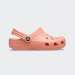shopeasy/produtos/206991-83E_PAPAYA