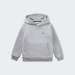 HOODIE LACOSTE CORE