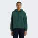 HOODIE LEVIS EVERYDAY BISTRO GREEN