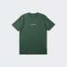 AQYZT09601-GRT0_FOREST
