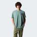 CLASS-TS-MINT_MINT