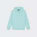 HOODIE DICKIES OAKPORT TURQUOISE
