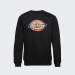 SWEATSHIRT DICKIES CREW PITTSBURGH