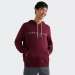 HOODIE TOMMY HILFIGER LOGO FLEX DEEP ROUGE