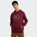 HOODIE TOMMY HILFIGER FLAG ARCH DEEP ROUGE