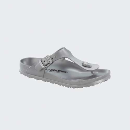 1003496_METALLICSILVER