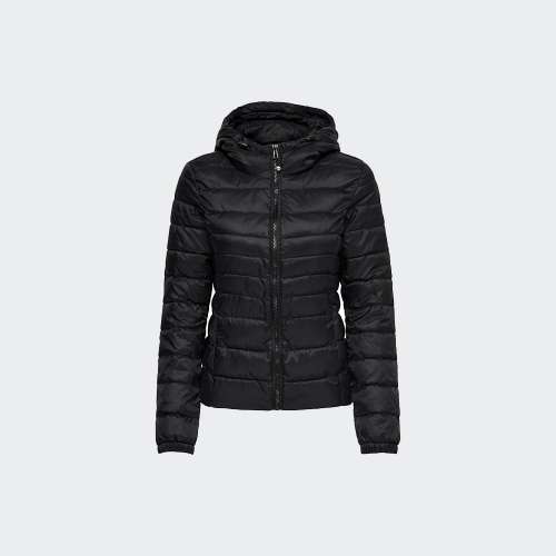 15156569-BLACK_BLACK