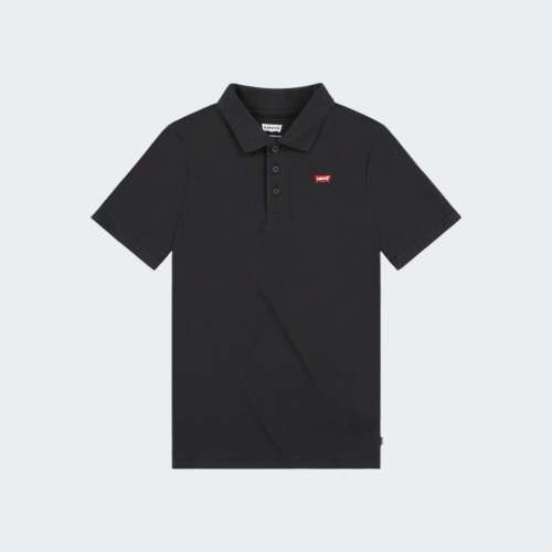 POLO LEVIS LVB METEORITE