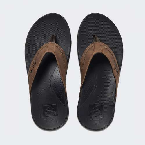 CI3636_BROWN