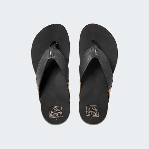 CI3755_BLACK