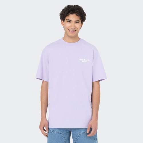 DK0A4Y8V-E61_PURPLE