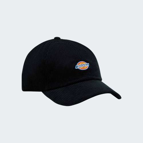 BONÉ DICKIES HARDWICK