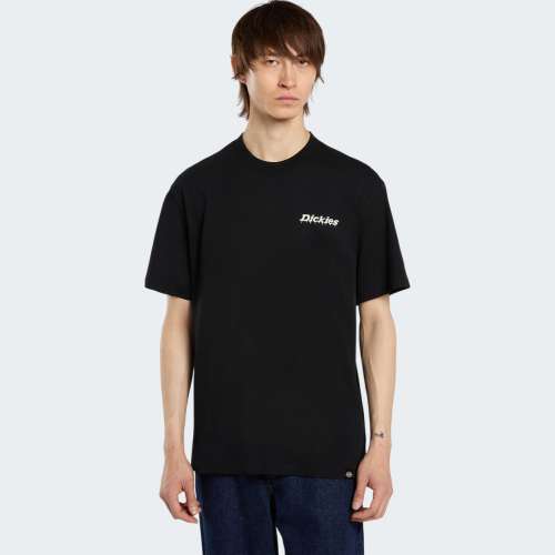 TSHIRT DICKIES STATESVILLE