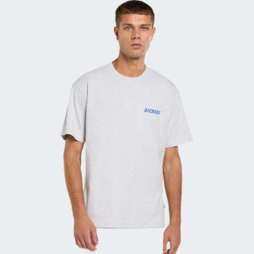TSHIRT DICKIES DRY RIDGE