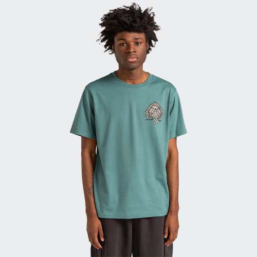 ELYZT00202-BMZ0_NORTHATLANTIC