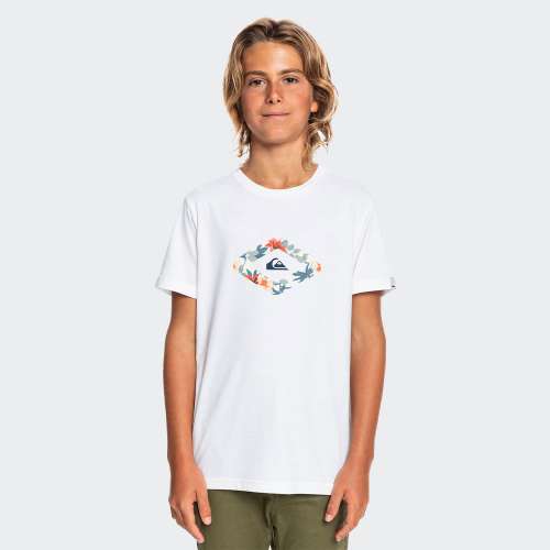 T-SHIRT QUIKSILVER LET IT RIDE K EQBZT04424-WBB0