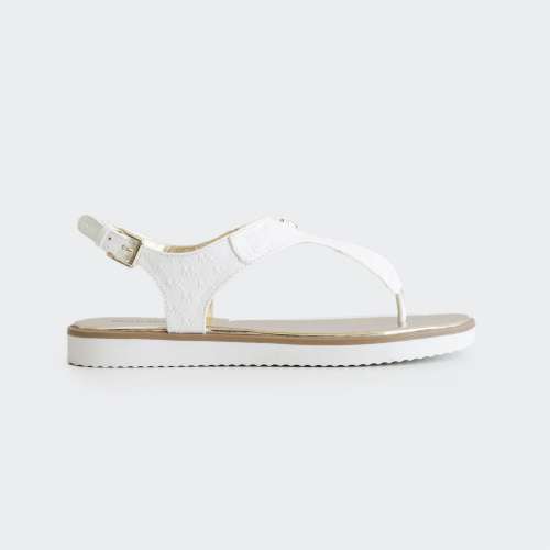 MK100438_WHITE
