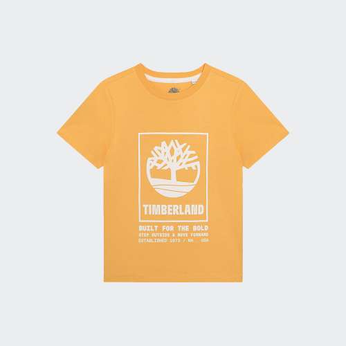 TSHIRT TIMBERLAND T60082 Y OCCHE