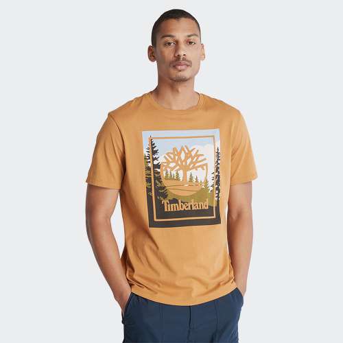 TSHIRT TIMBERLAND OUTDOOR GRAPHIC WHEAT BOOT