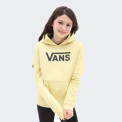 HOODIE VANS GR FLYING V ICE GREY/BLACK