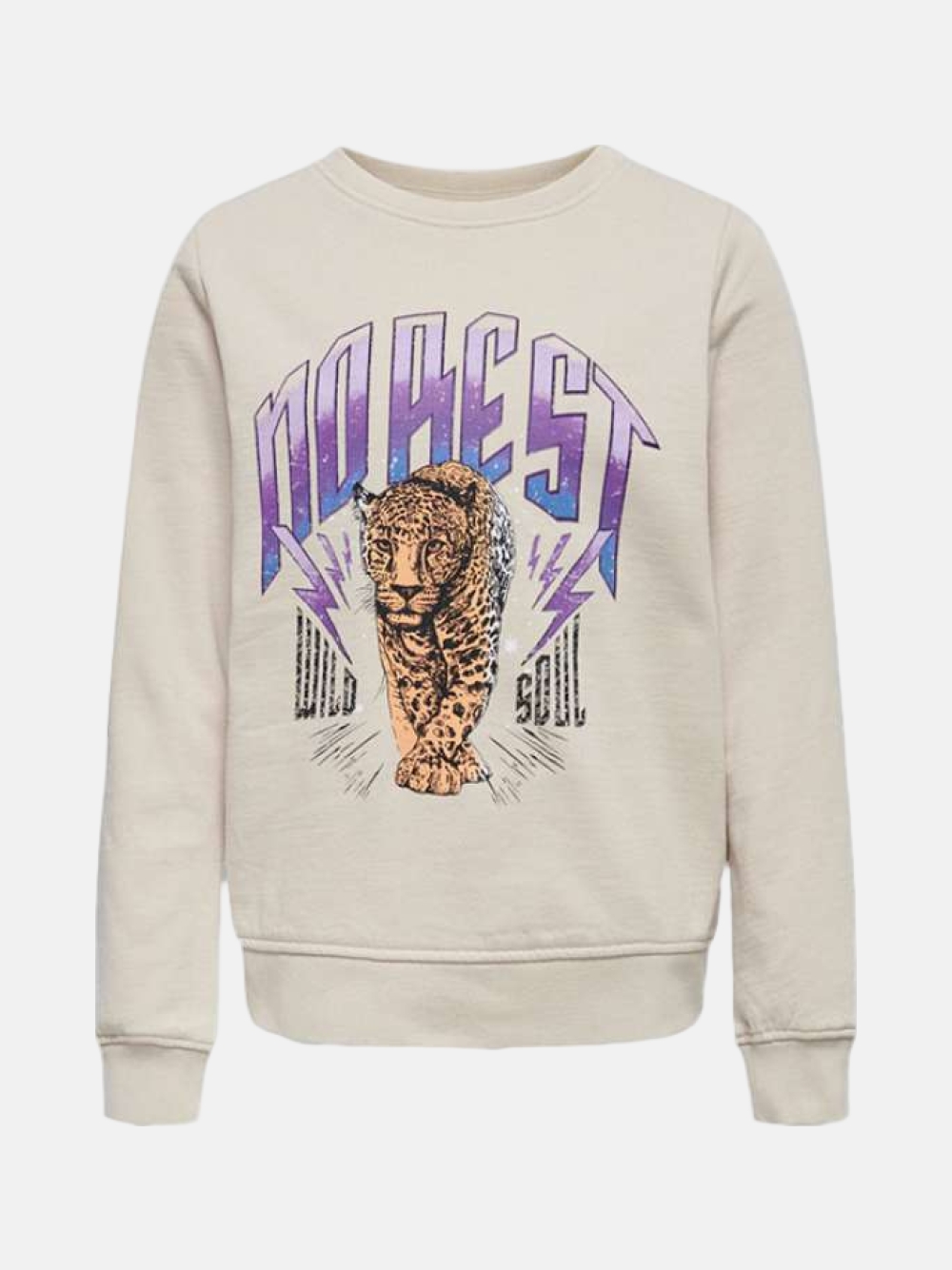 SWEATSHIRT ONLY LUCINDA PUMICE STONE