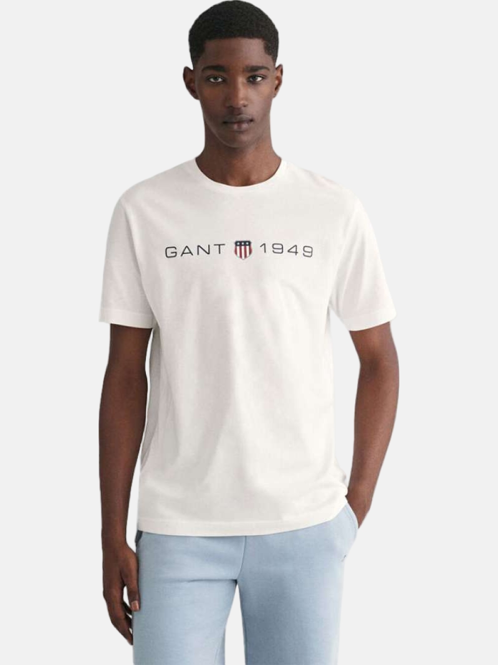 TSHIRT GANT PRINTED GRAPHIC 113
