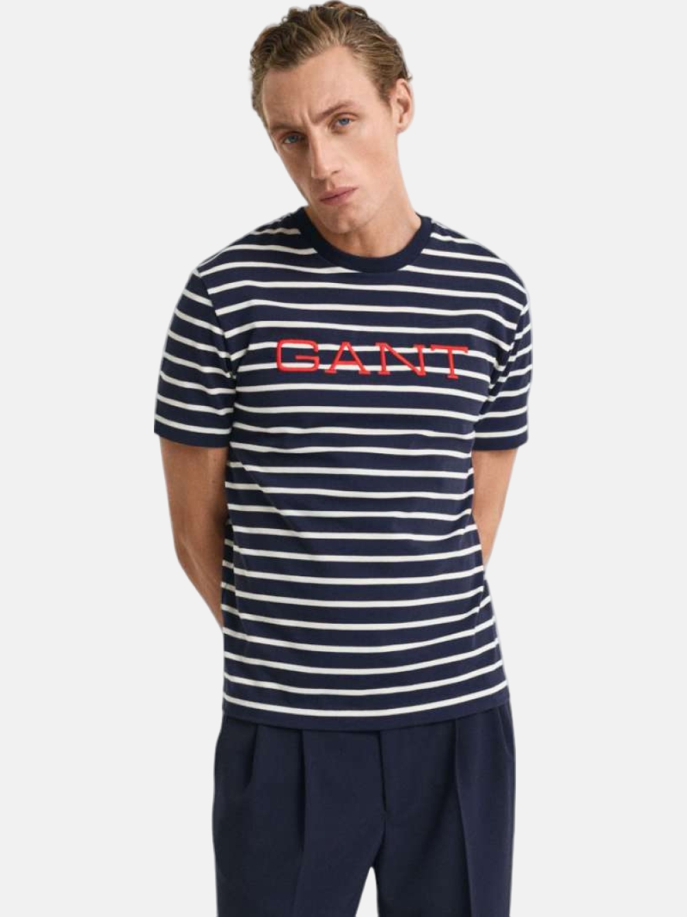 TSHIRT GANT GRAPHIC STRIPED 433
