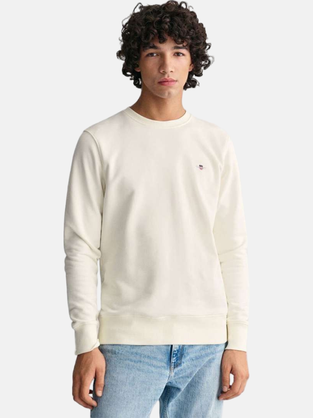 SWEATSHIRT/HOODIE GANT REG SHIELD